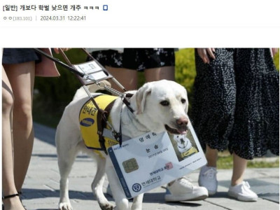 개보다 학벌 낮으면 개추