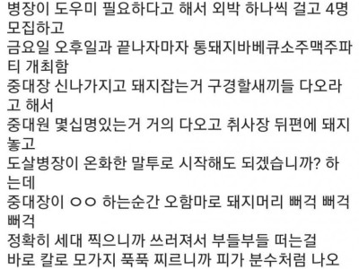 군대에서 돼지 도살한 썰