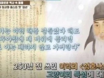 250년에 쓰여진 냥아치 특징