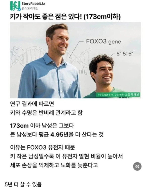 bt9cdd88771fa27aaa0c61e55482dd5b71.jpg