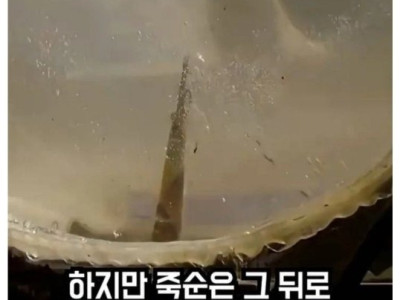 죽순 고문에 대해 알아보자