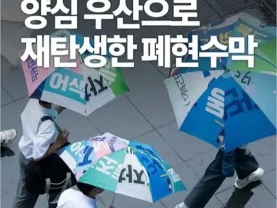 제주도에 있다는 양심 우산.jpg