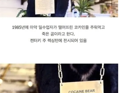 코카인 40kg를 주워먹은 곰의 최후