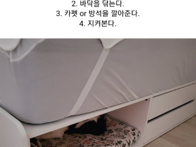 내 침대가 서랍 침대다 하는 집사들 추천.jpg