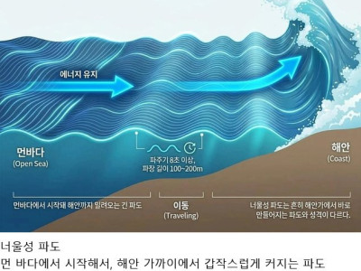 바닷가에서 갑자기 사람들이 죽어나가는 이유