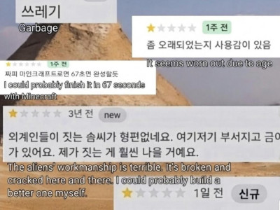 악플은 피라미드에도 달린다.jpg
