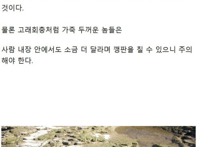 왜 민물고기 회는 안 되는데 바닷고기는 괜찮을까?