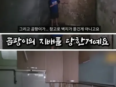 쓰리룸인데 월세가 10만원??