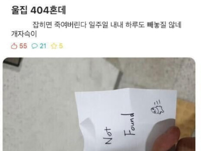 404호의 비극