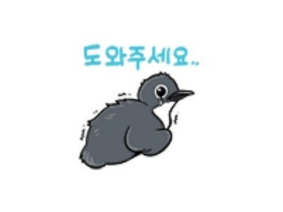 캣맘에 질리셨나요? 생태계를 지키고 싶으십니까?