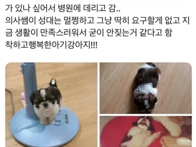 강아지가 반 년 동안 한 번도 안 짖은 이유