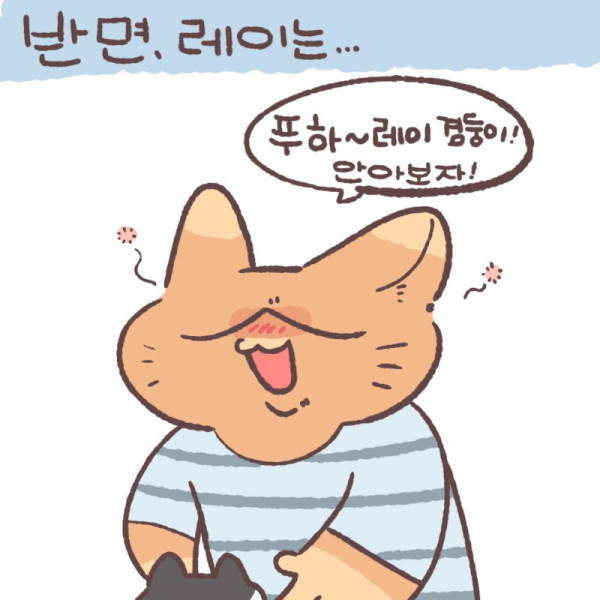 btdd948ced345df3e9e9ebd1ab89b3f3c2.jpg