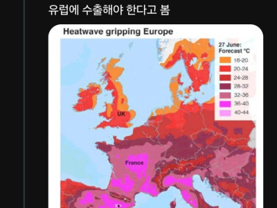 이제 유럽도 마셔야 하는 음료.jpg