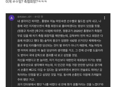 어느 유저가 쓴 홍명보의 머릿속