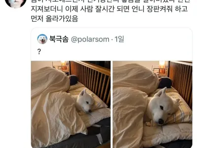 전기장판의 좋음을 알아버렸다