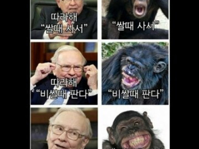 따라해