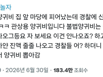 양귀비 집 앞 마당에 피어났는데 경찰에 신고하니까 아아 ㅋㅋ 관상용 양귀비입니다