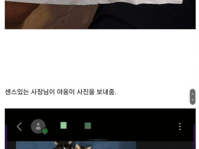 배달 시켰다가 겪은 귀여운 고양이썰