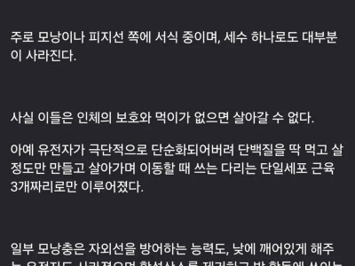 전 인류의 99.8%를 감염시킨 기생충