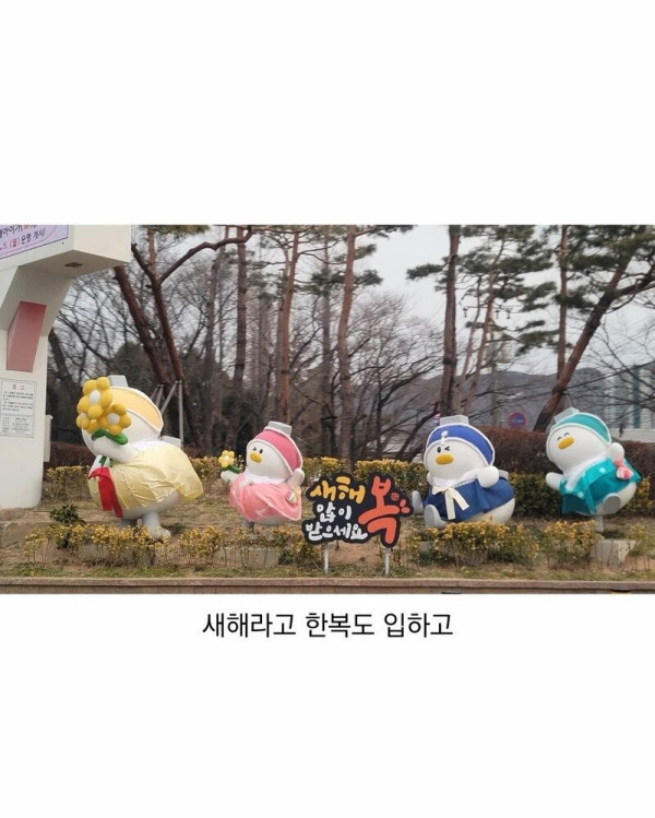 bt0d326428516bee12fb8cafd5606993af.jpg