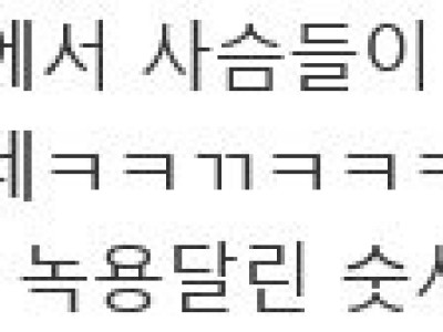 순천은 시간 좀 더 지나면 일본 나라현처럼되겄네