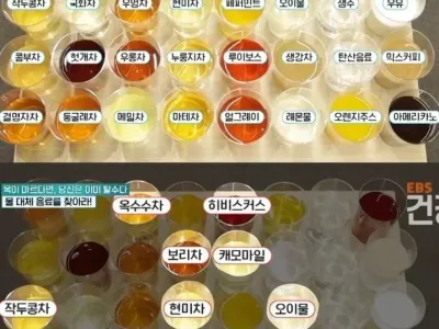 물 대신 마실수 있는 음료들..