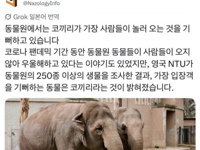 사람이 오면 좋아한다는 동물원 동물