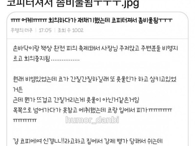 회의하다 좀비물된썰