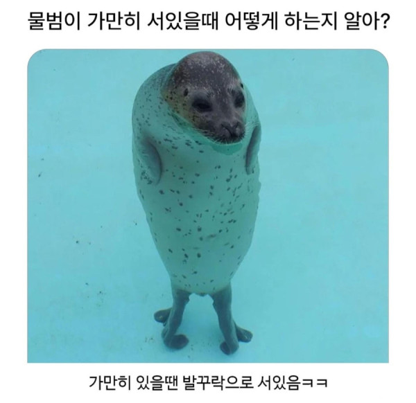 bt4e79c44394b39cb12d8b877a8325edb3.jpeg
