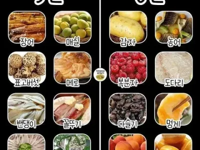 월별 제철 음식