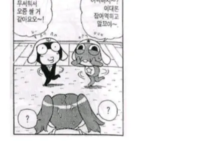 펌) 완장 갤 관리 안함????