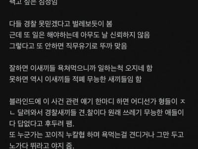 경찰 욕먹는거에 블라인드 경찰관 입장