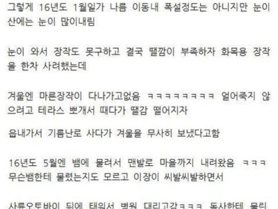 자연인 생활의 현실을 깨달은 아재 썰