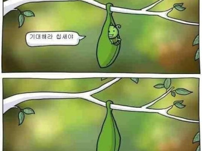 못생긴 남자 응원하는 만화