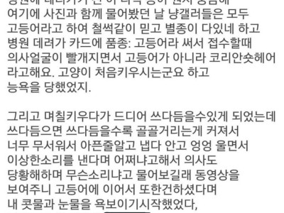 고양이 처음 키워보는 순수한 친구 썰