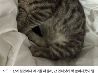 펌) 최근 전 세계 자폐아가 늘어난 이유가 뭔줄 알아?