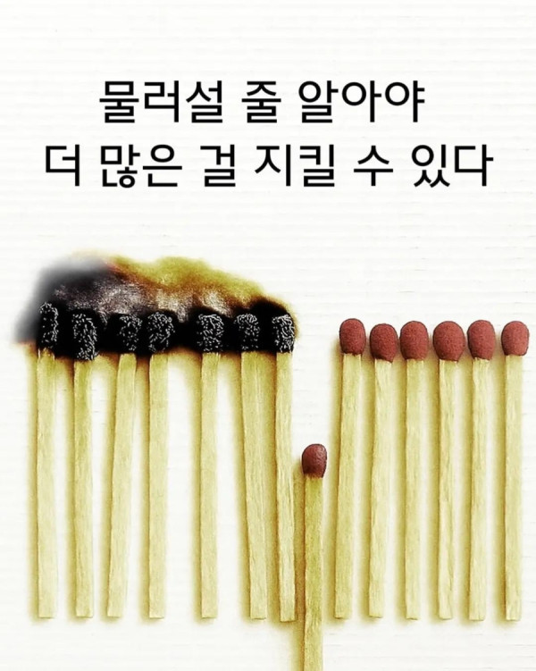 bt93c58f1dd02a2979db8596325abc3c1e.jpeg
