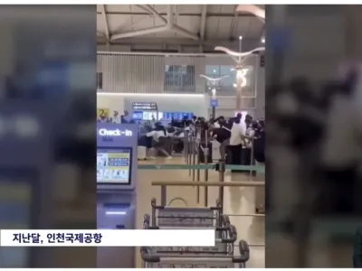 인천공항에 '새치기 방지' 울타리 설치 이후 근황