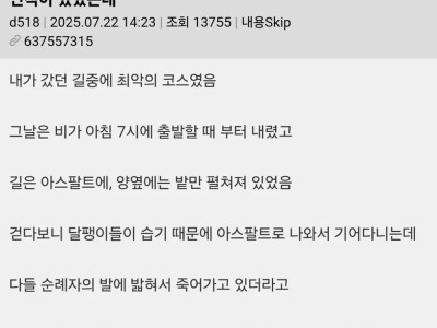 썰) 산티아고 순례길에서 받은 달팽이의 보은.jpg