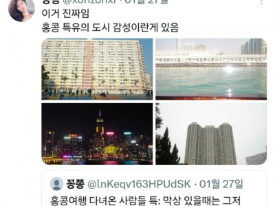 홍콩 여행 다녀온 사람들 특징