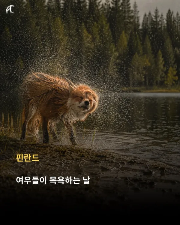 bt2295678eda7908bbf7334e44ee87eecf.webp
