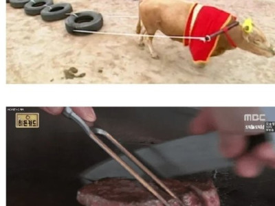 약스포?) 무한도전 짤로 보는 오디세이 영화.jpg