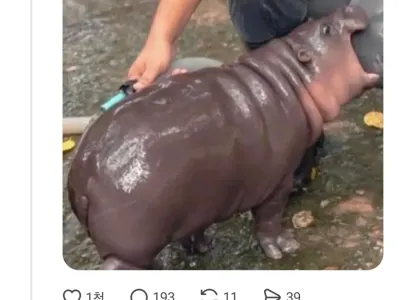 와이프를 자랑한 유부남의 최후