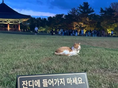 항상 배우고 공부해야 하는.이유