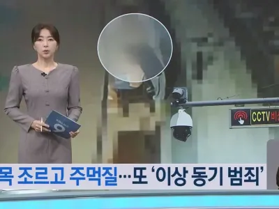 처음 본 사람을 뒤에서 목 조르고 도주한 20대