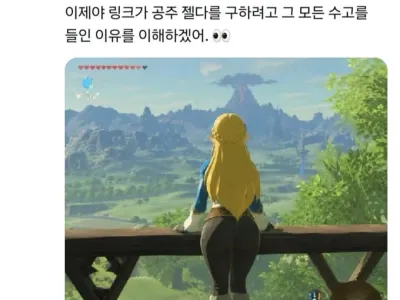 링크가 젤다를 구하려는 이유