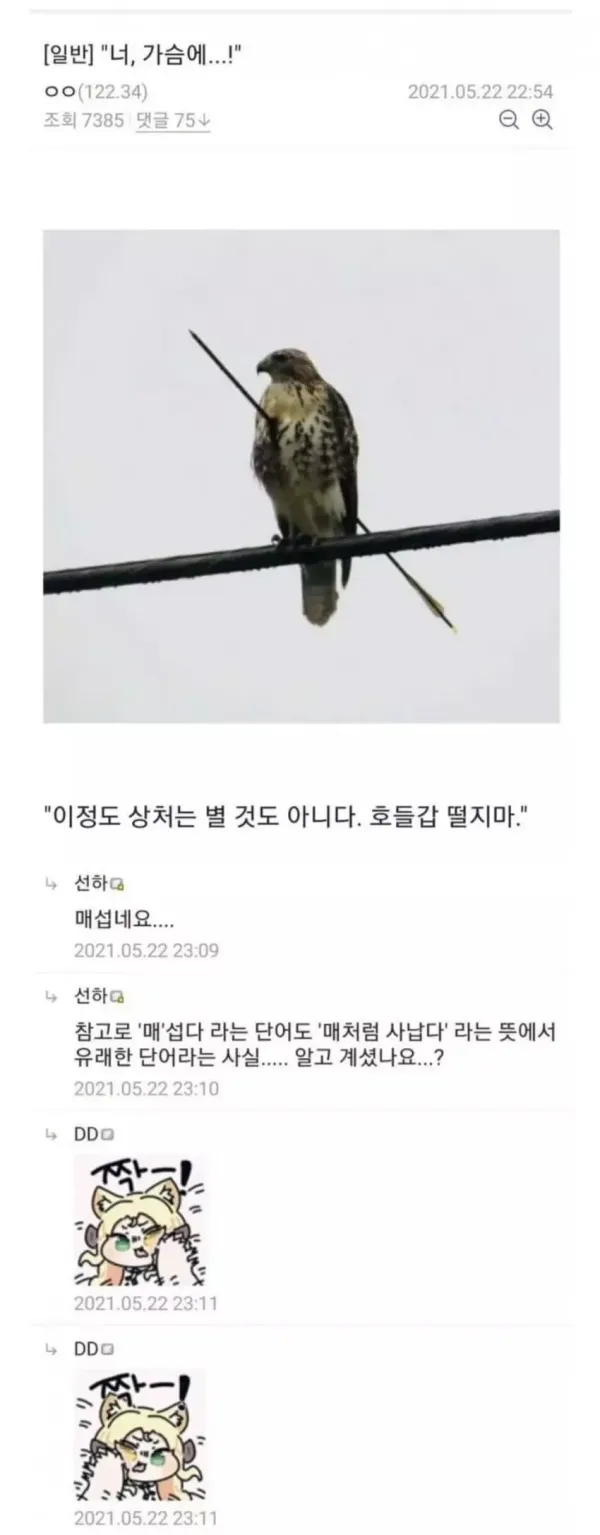 btb28c423a83a199f1c68dcb7eb8ac36da.webp