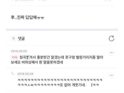 말싸움 할 때 상대가 개부들댈만한 욕 없나