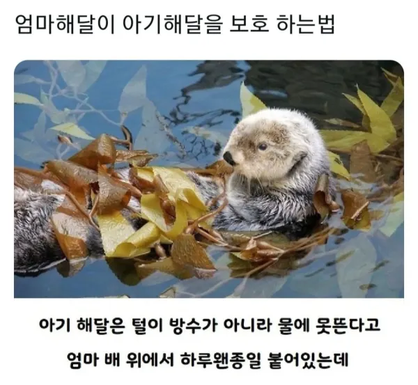 btea7fc1decdb345555d4c9d7289b2510f.webp