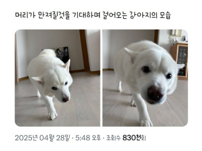 머리가 만져질것을 기대하면 걸어오는